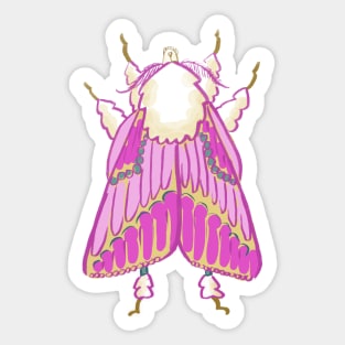 Doggerel Moth From Behind Sticker